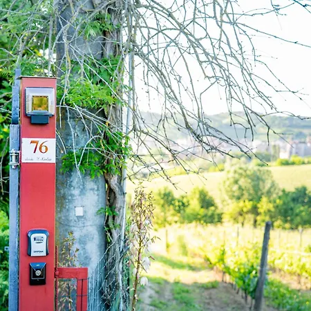 Il Casotto Tra I Vigneti